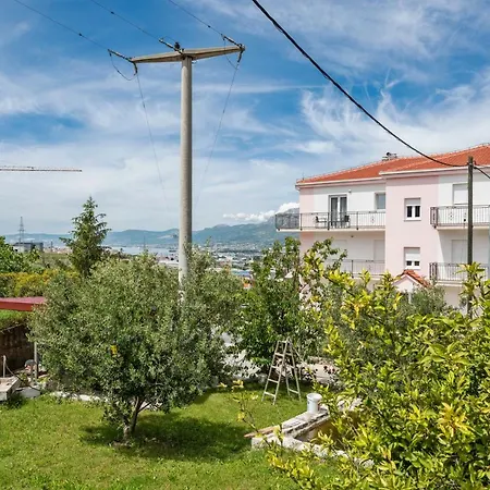 Aaa Anic Amazing Deluxe